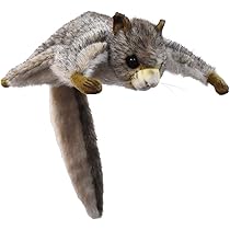 ムササビ出品 61cTk4pH+ZL._AC_UL210_SR210,